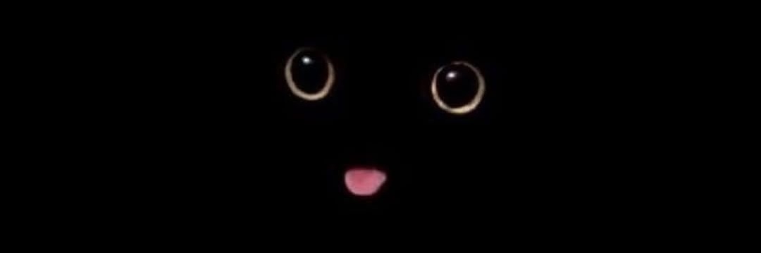SkullHead342's profile banner image