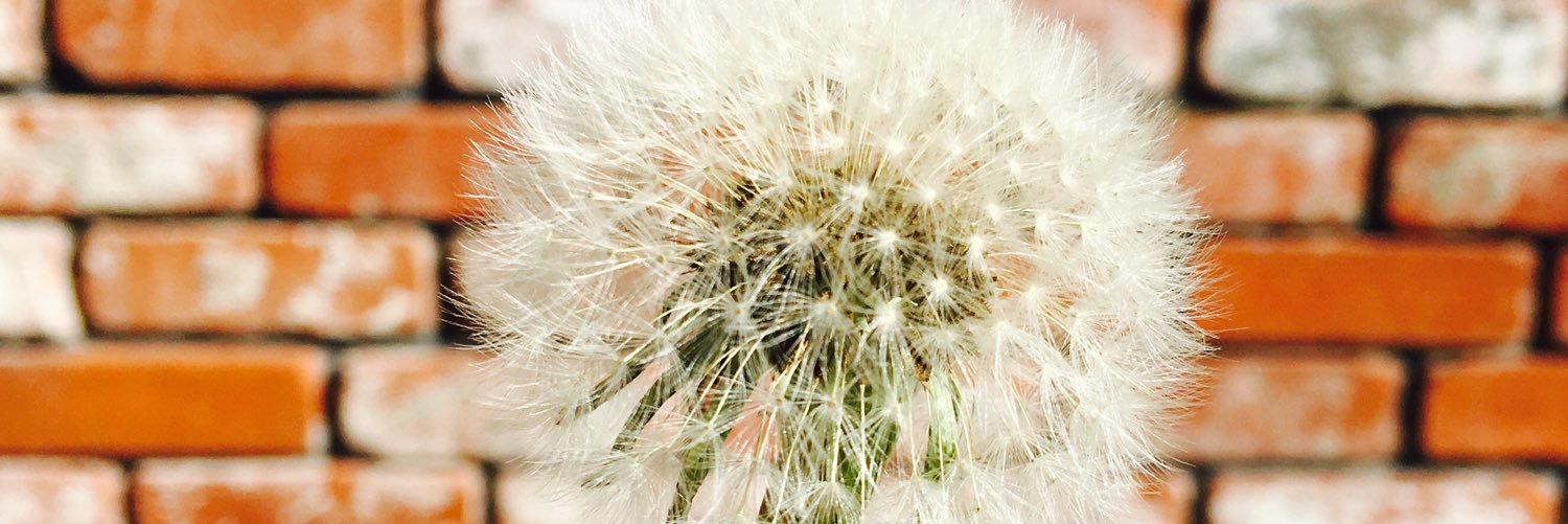 JAM2105's profile banner image