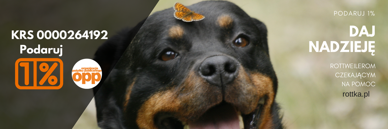 rottka_pl's profile banner image