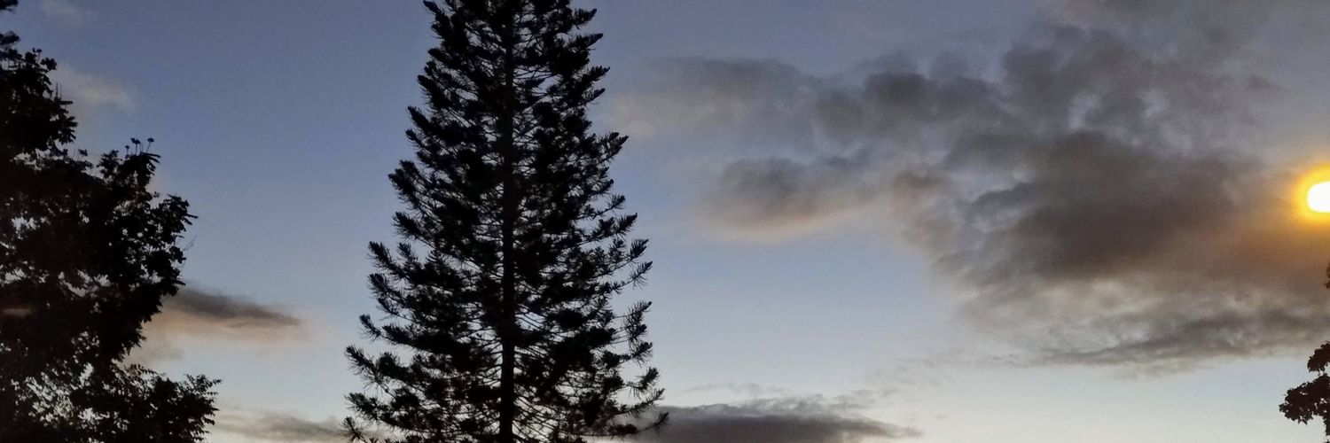 moicast's profile banner image