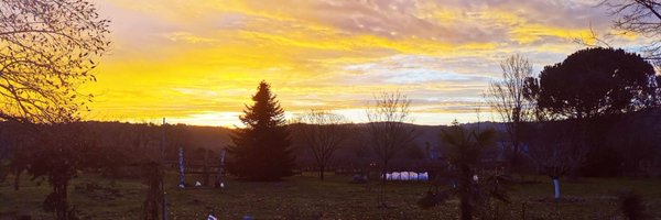 patleter91 Profile Banner