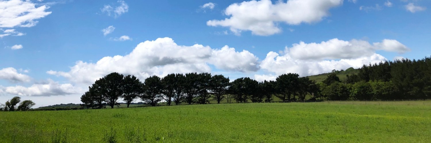 OnTheWight: Isle of Wight News banner