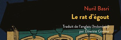 basrinuril's profile banner image
