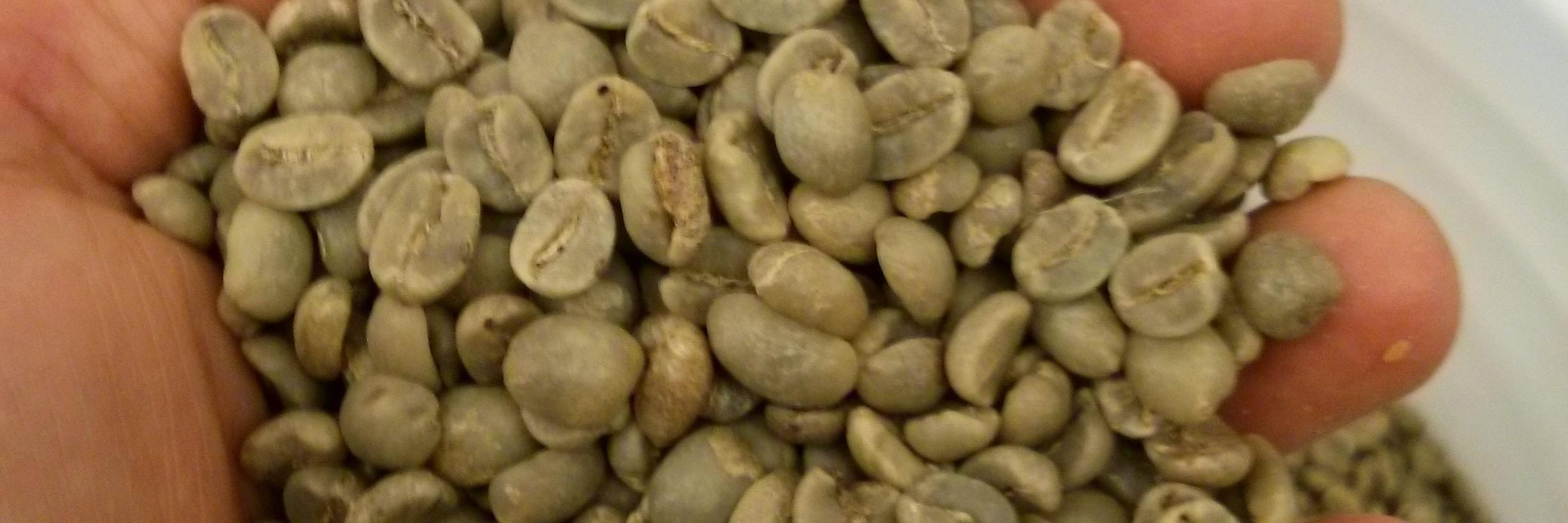 ojoecoffee's profile banner image