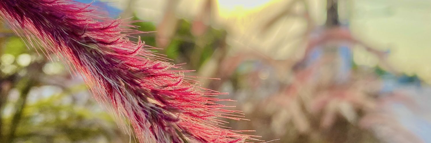 BeerBenjamas's profile banner image