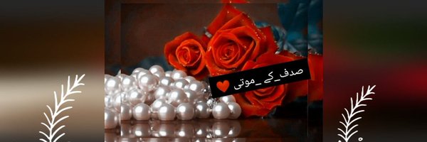 sadafsheriff35 Profile Banner
