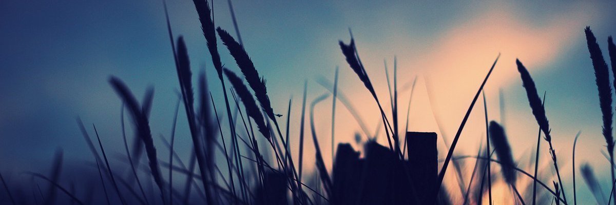 bone_1_07's profile banner image