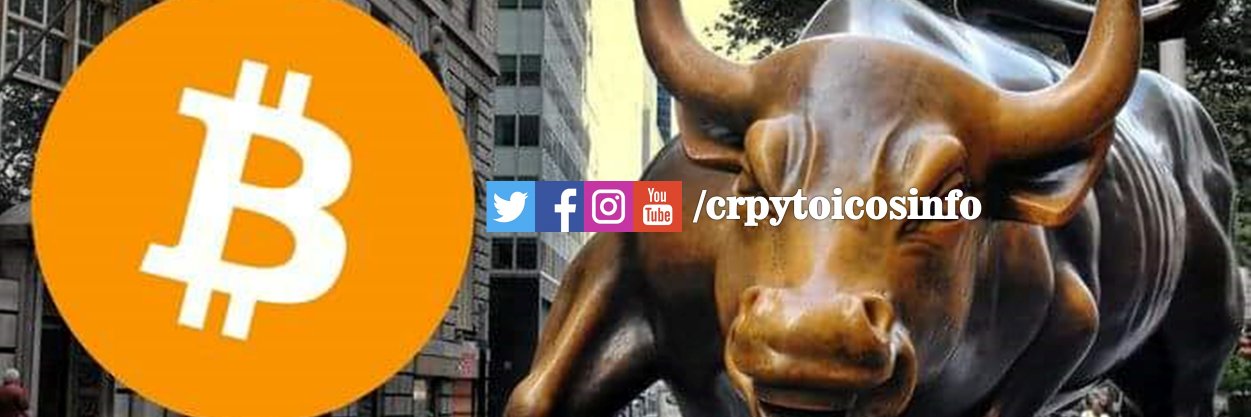 cryptoicosinfo's profile banner image