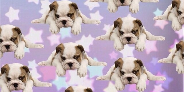 Atriaprmnd_'s profile banner image