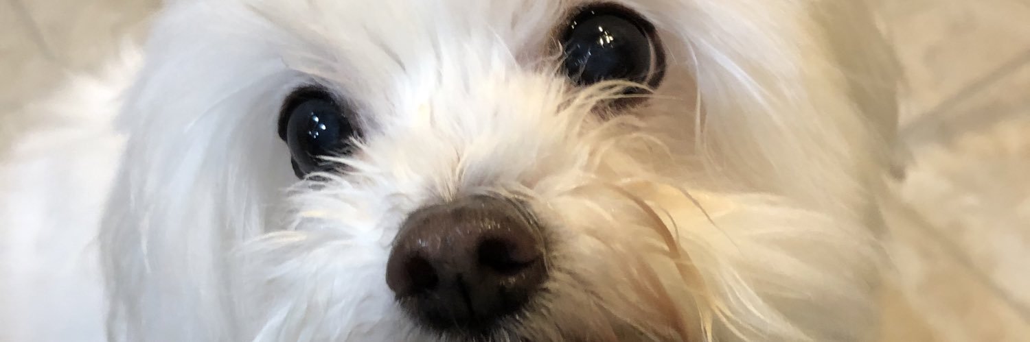 eintxu's profile banner image