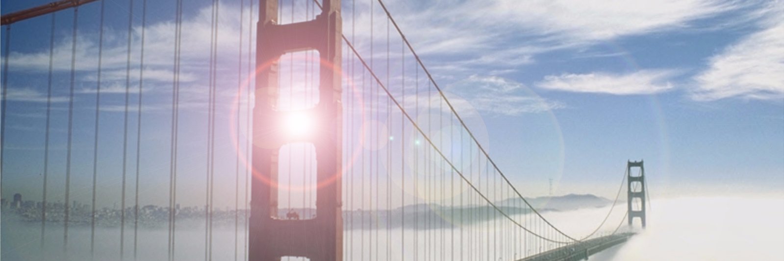 wilcopeters's profile banner image