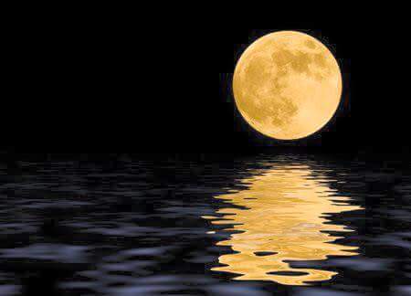 PleaseDon'tForgetMe banner