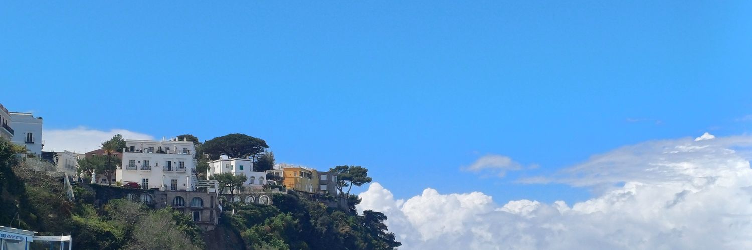 bernacoskunpin's profile banner image