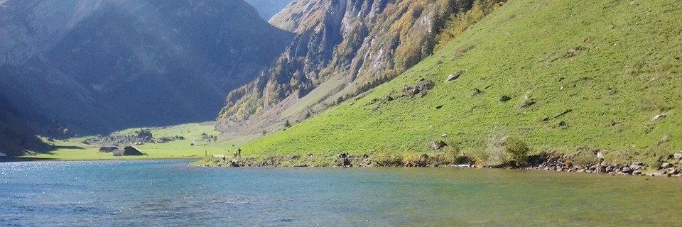AlbertBaumann's profile banner image