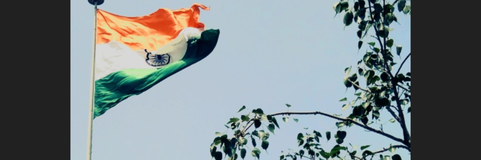 Purnima Rohilla banner
