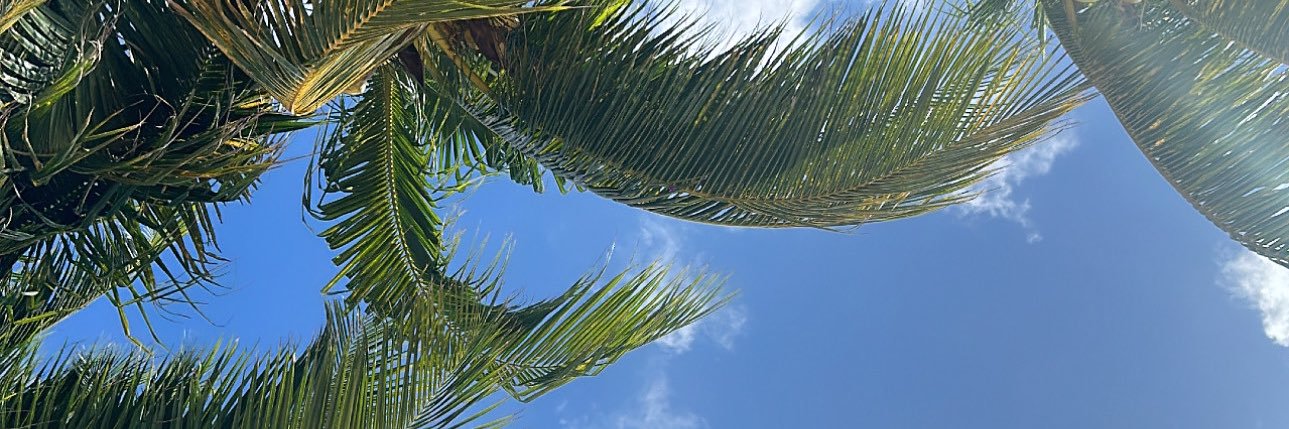 LabdJou's profile banner image