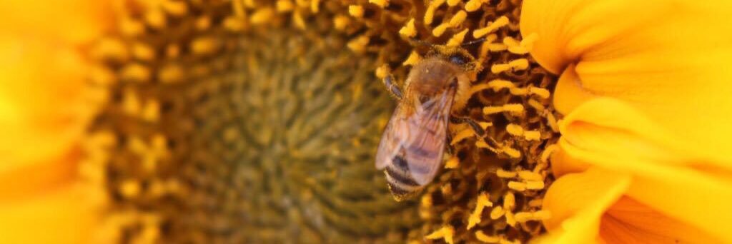 比嘉ちゃん🐈💕比嘉さやか banner