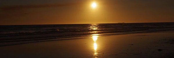 360vue Profile Banner