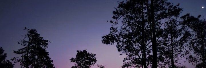 kosonghiu000's profile banner image