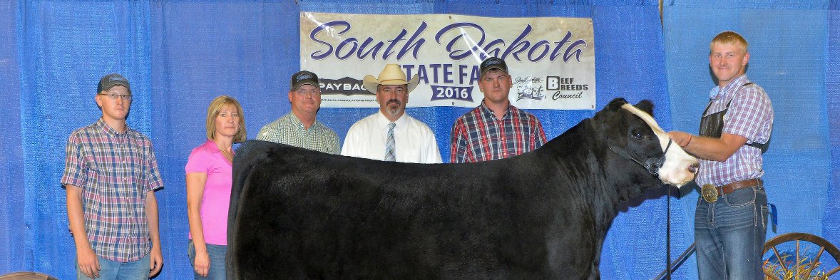 Sandy Osterday banner