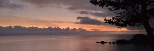 akavai78 Profile Banner