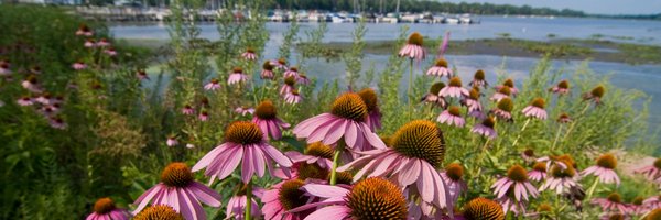 Minnesota Pollution Control Agency Profile Banner