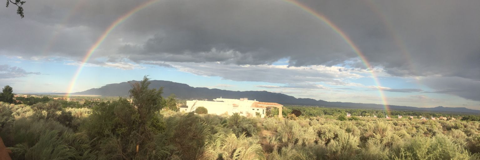 Sparky 🌵 ⚾ banner