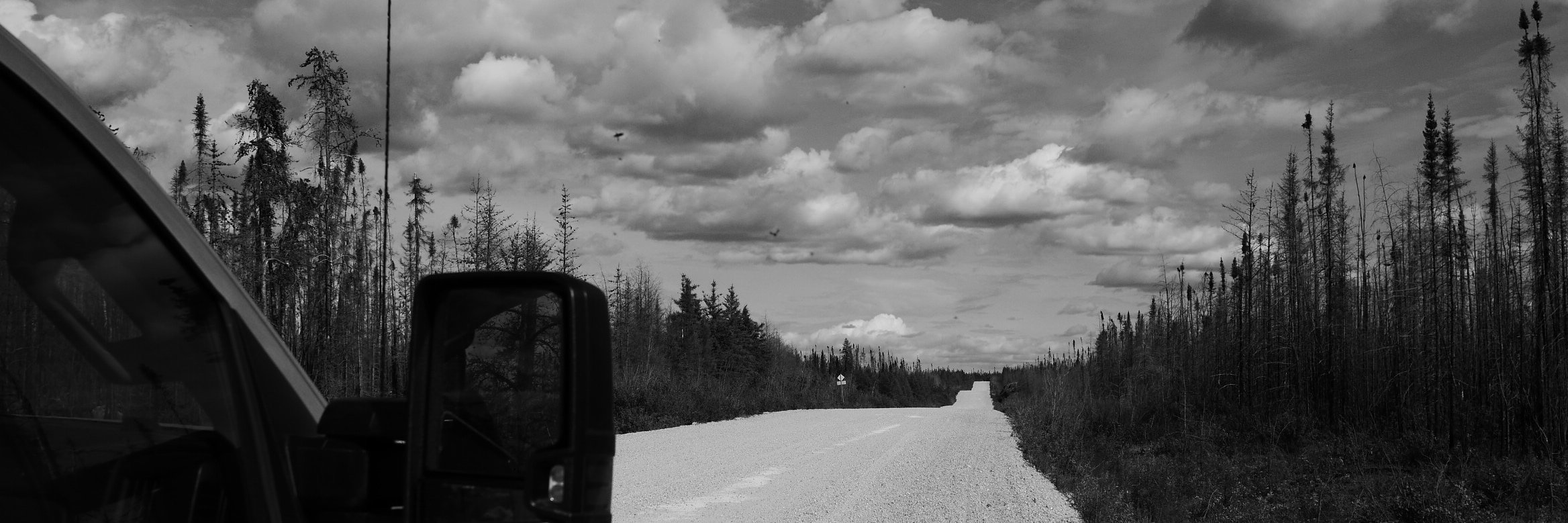 Emmanuelle Walter banner