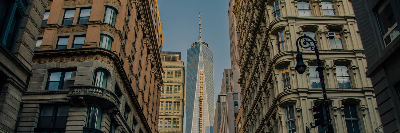 CryptoRiot's profile banner image