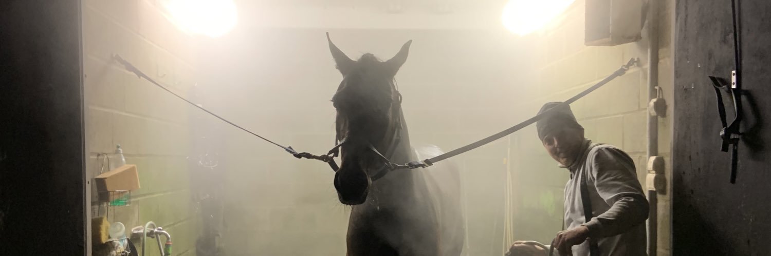 Snutschen's profile banner image