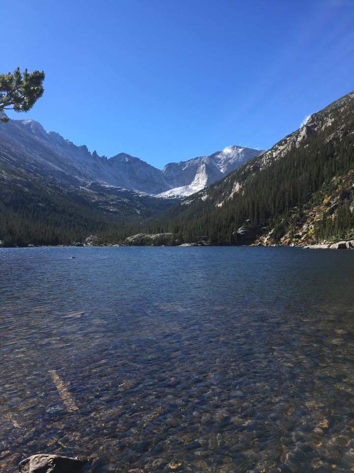 Dr. Jennifer Bashant banner