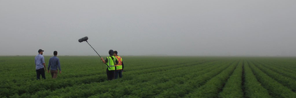 Before the Plate banner