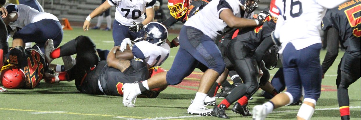 Austin Williams banner