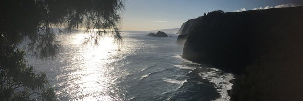 phoebe_dawkins Profile Banner