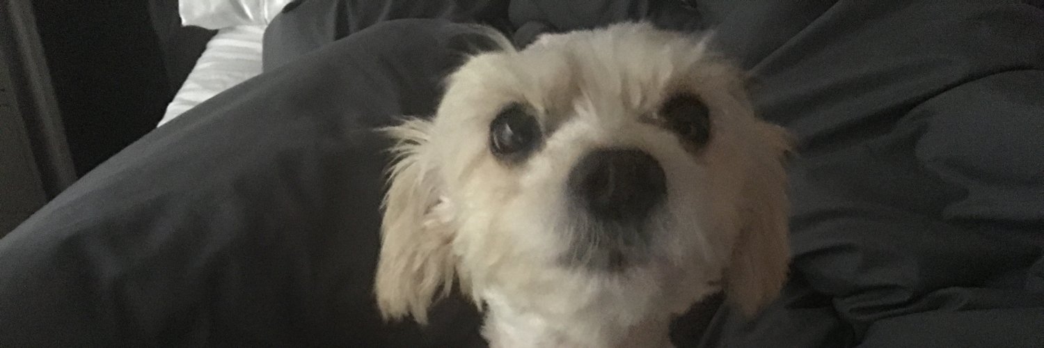 jaymed's profile banner image
