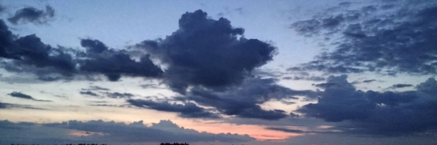 GwenLD's profile banner image