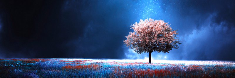 》ℳappy《 🌸 banner