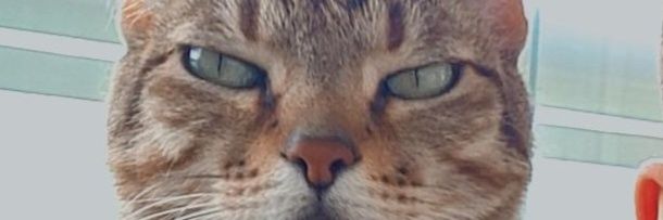 Hamudifares11's profile banner image