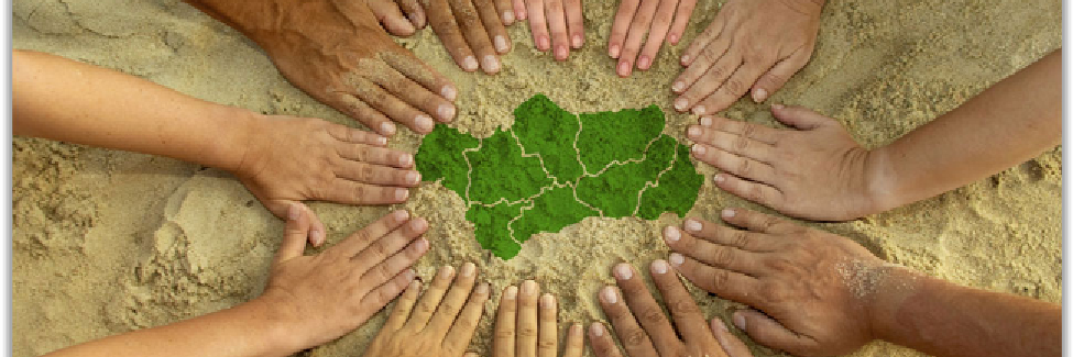 andaluzaslevant's profile banner image