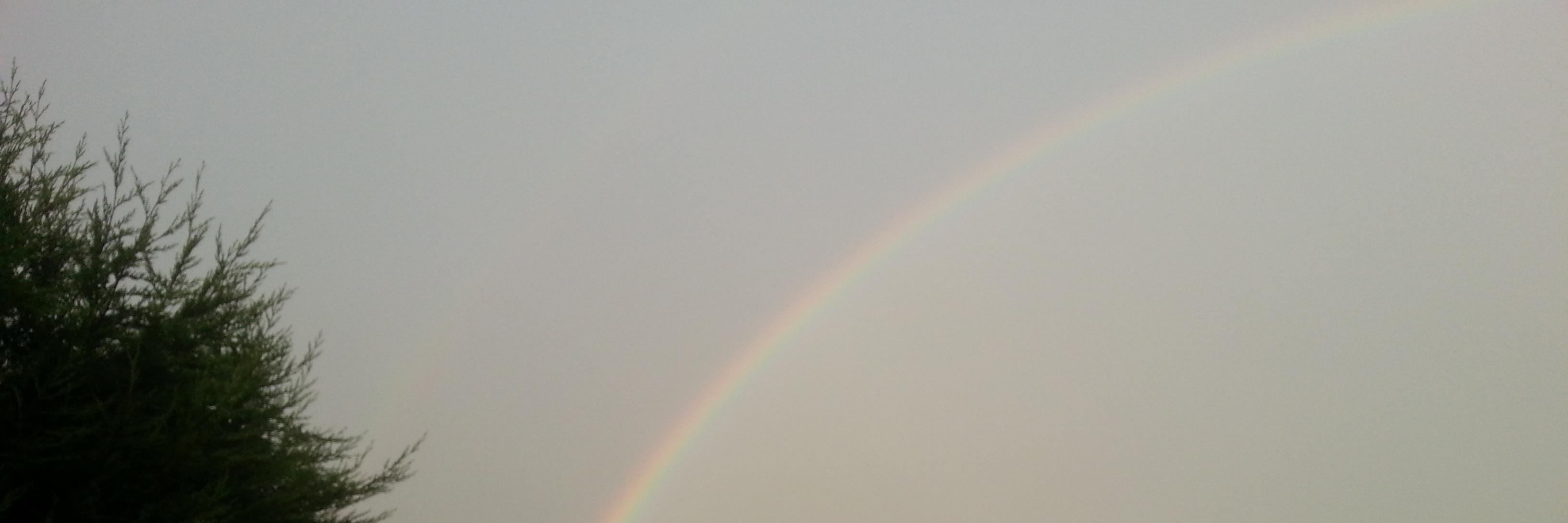 Judiebbrell's profile banner image