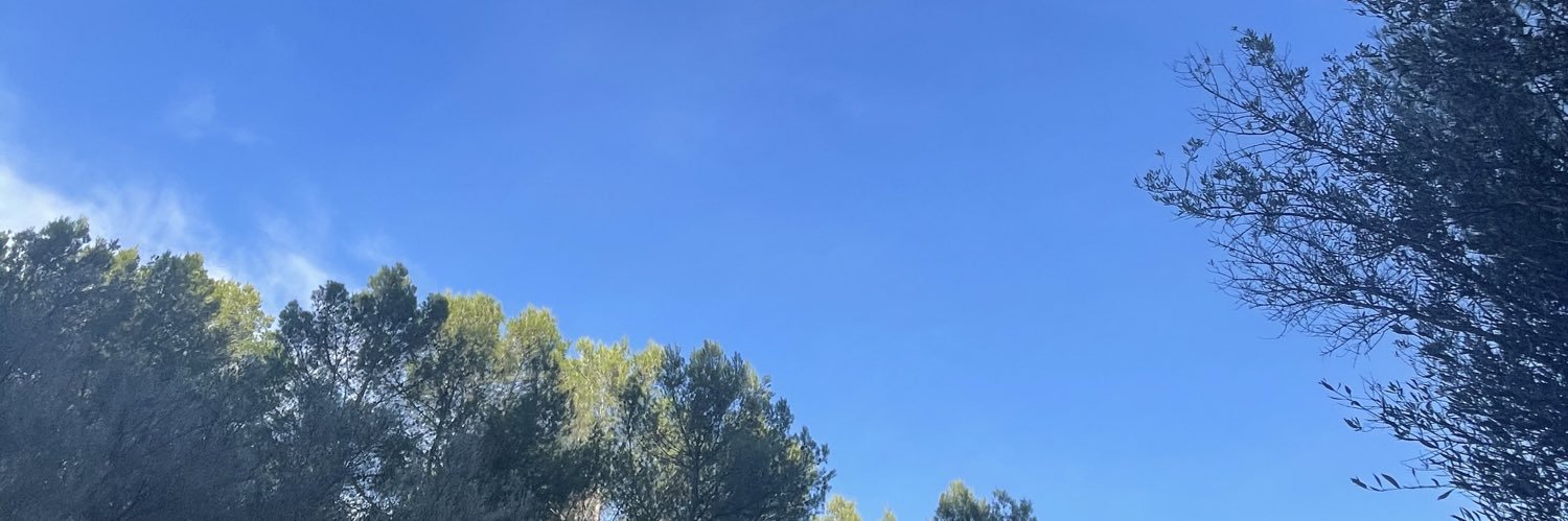 DaniTerrasa's profile banner image