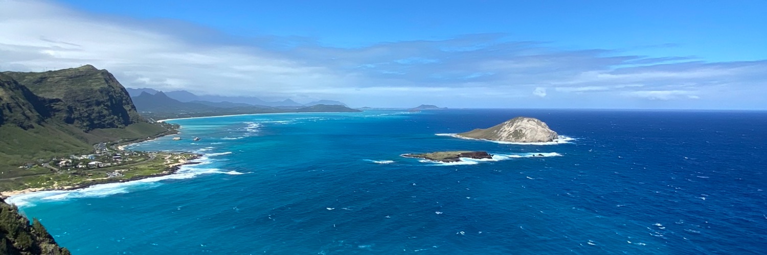 Mostly Peaceful banner