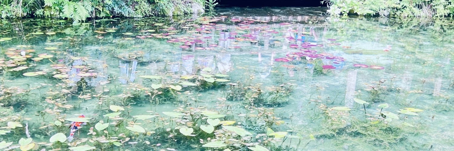 𝕐𝕆𝕊ℍ𝕀 🏕️🌌 banner