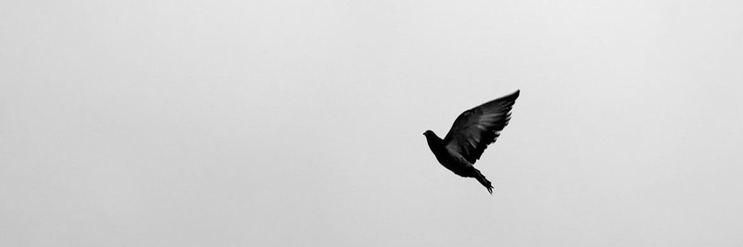 BND_2012's profile banner image