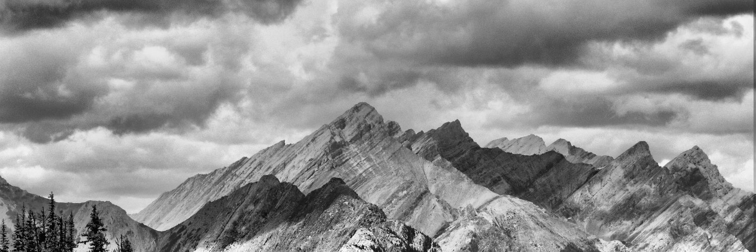 shony_p's profile banner image