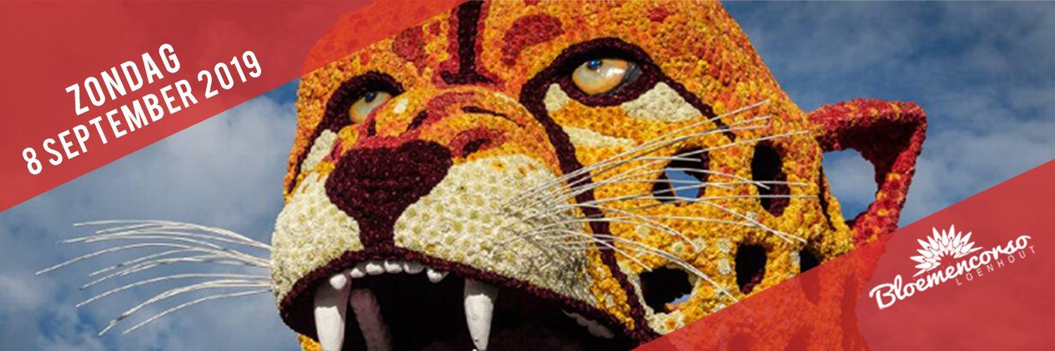 CorsoLoenhout's profile banner image