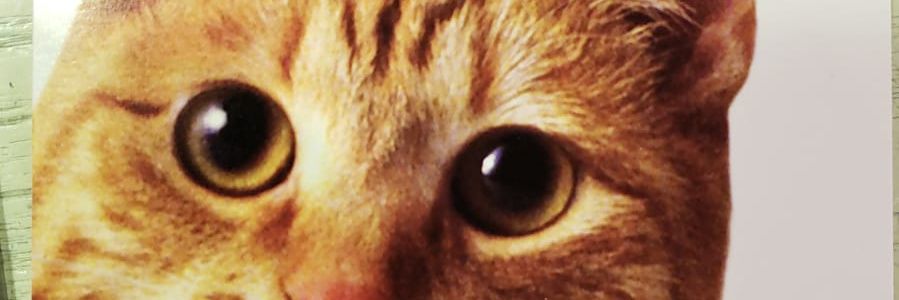 thatadeboy's profile banner image