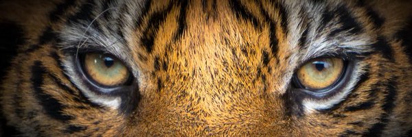 22deekayy Profile Banner