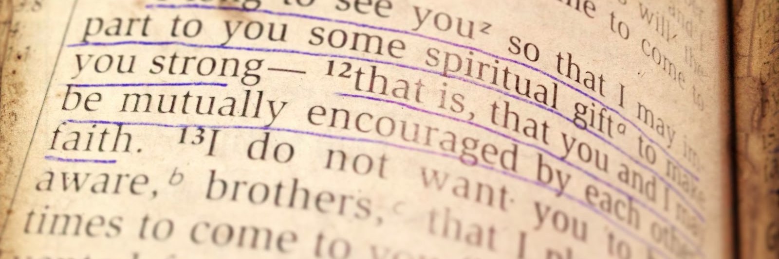 Melody Rotondo banner