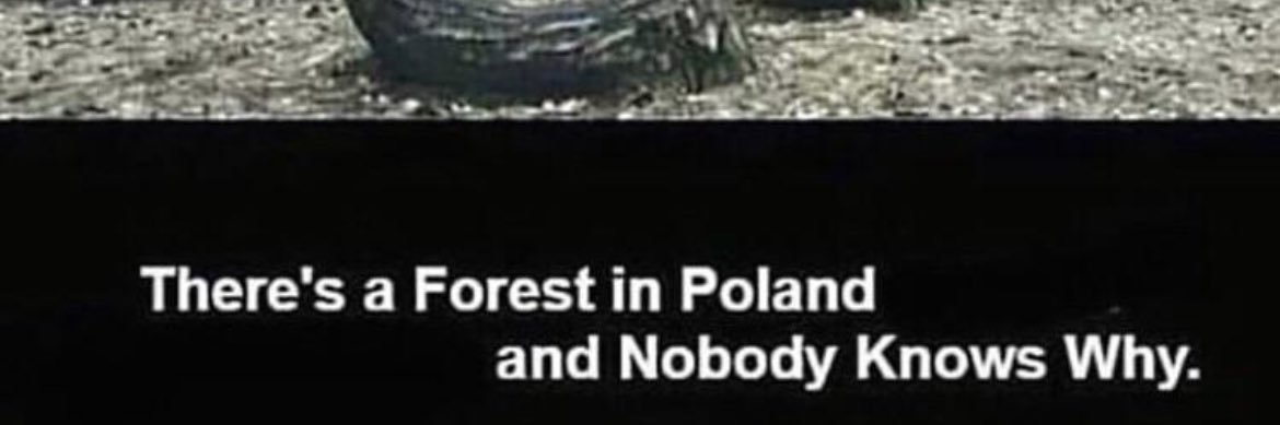 tragedyatscAle banner